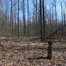 Krymie botanical preserve