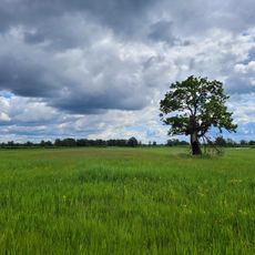 Parco nazionale del Pryp'jat'