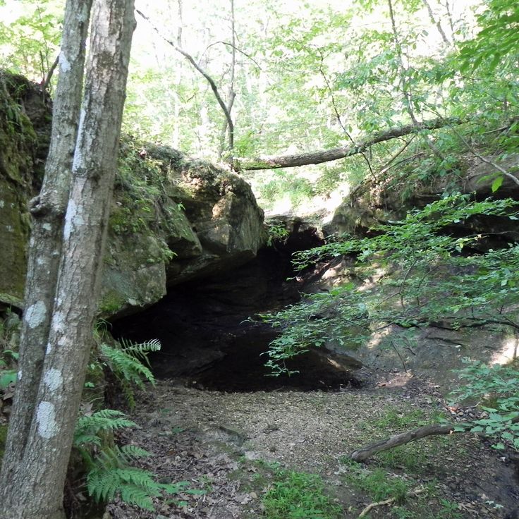 Obszar Ochrony Przyrody LaBarque Creek