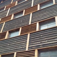 Magazyn główny szyszek