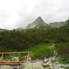 Wołowiec Mięguszowiecki