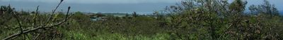 Panoramic View 1