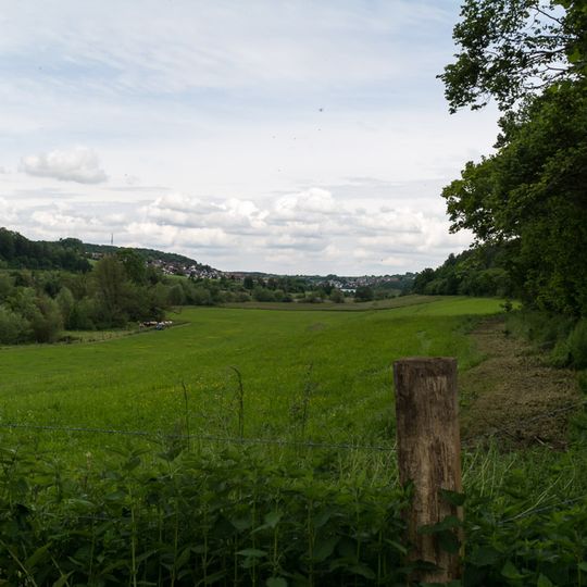 Kasparsbrunnen-Ried-Binn
