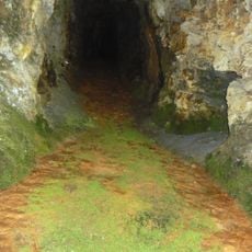 Штеуни (Вирово)