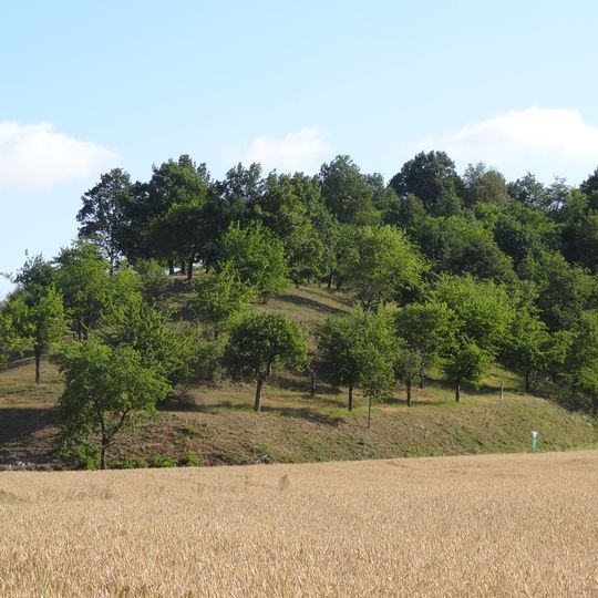 Wingertsberg bei Oppershofen