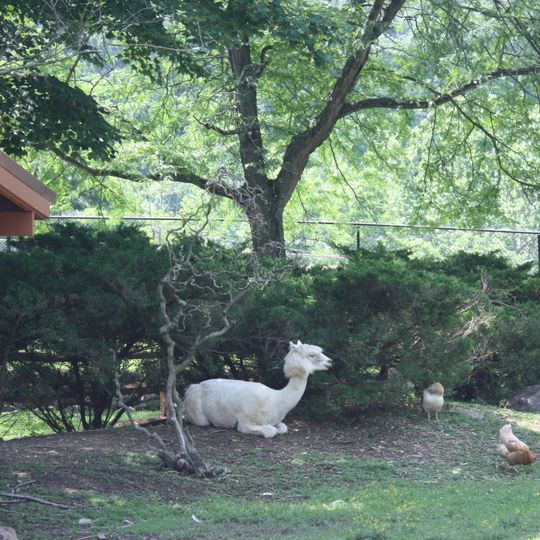 Lehigh Valley Zoo