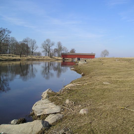 Tidan