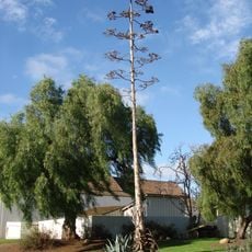 Old Town San Diego State Historic Park