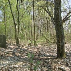 Jewish cemetery in Człopa