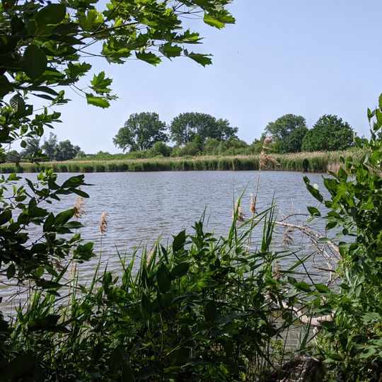 Nový rybník u Kačiny