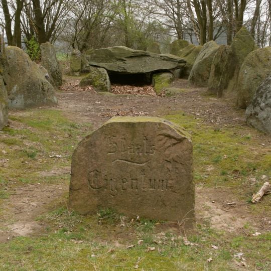 Großsteingräber bei Altenmedingen