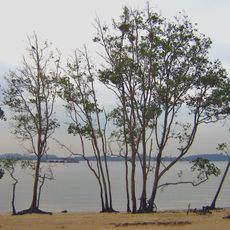 Pasir Ris Park
