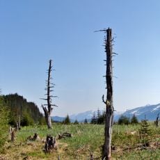 Tonsina Point