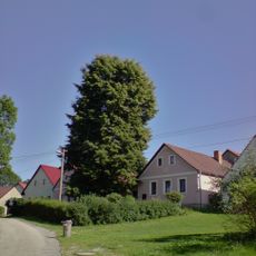 Lípa u č.p. 14 v Malíkově nad Nežárkou