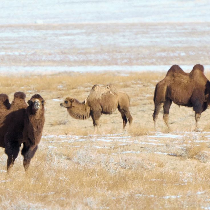 Riserva Naturale Gun Galuut