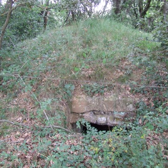 Poua de la Torrassa dels Moros