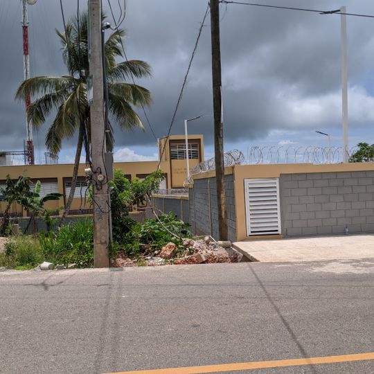 Liceo juana vicenta samana