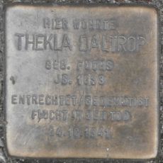 Stolperstein en memoria de Thekla Daltrop