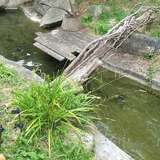 European Otter Basin