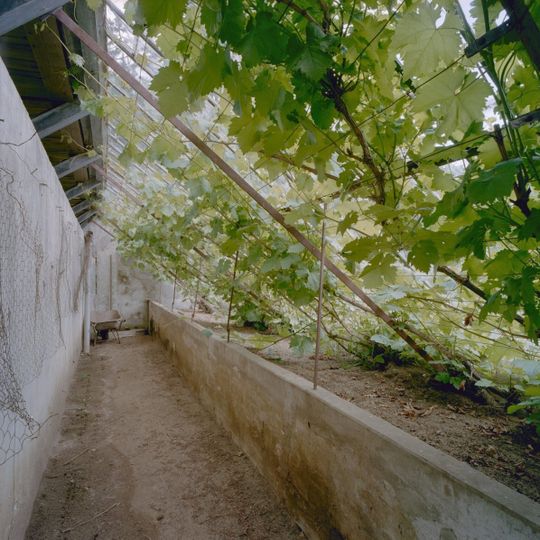 De Horst: druivenkas