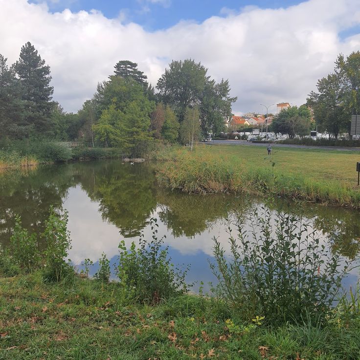 Park of Friendship