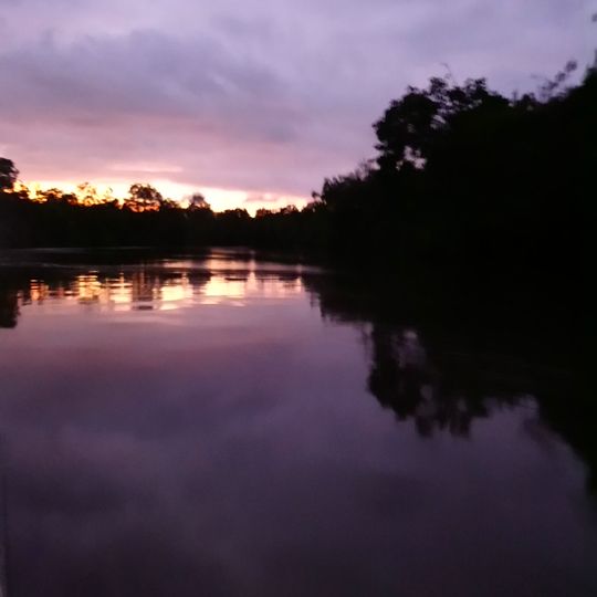 Park Narodowy Sanquianga