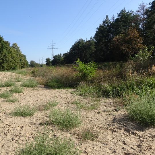 Beckertanne von Darmstadt mit angrenzender Fläche