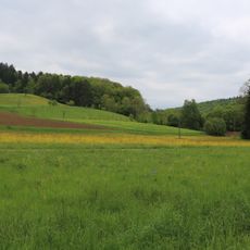 LSG 'Tiefenbachtal' vom 15.10.1958