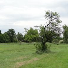 Wilschdorf-Rähnitzer Sandhügelland