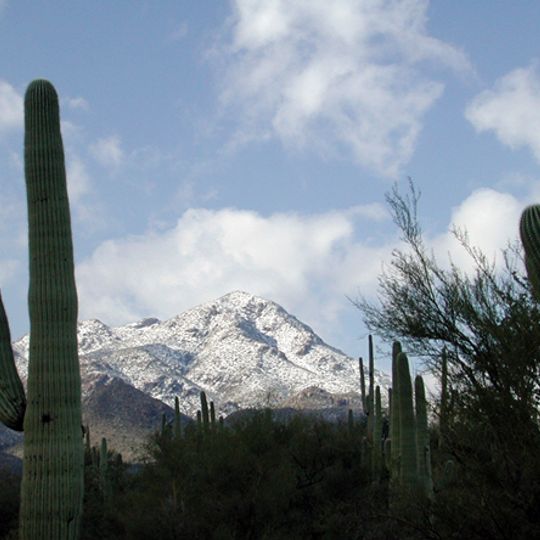 Tucson Mountains