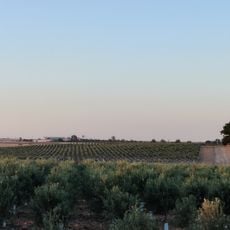 Cortijo de la Zangarrina