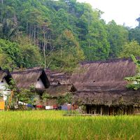 Tasikmalaya