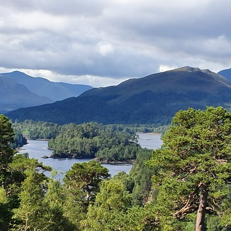 Glen Affric