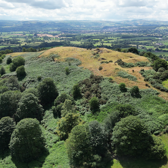 Moel y Gaer, Bodfari