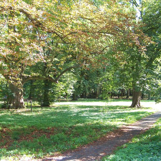 Park pałacowy w Skorogoszczy
