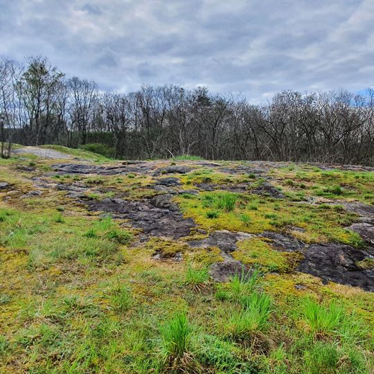 Rock cliffs in sand pit Altoschatz