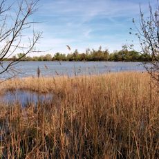 Marais de Beauchamp et du Petit Clar