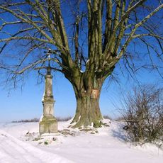 Obrázek východně od Kosova u polní cesty