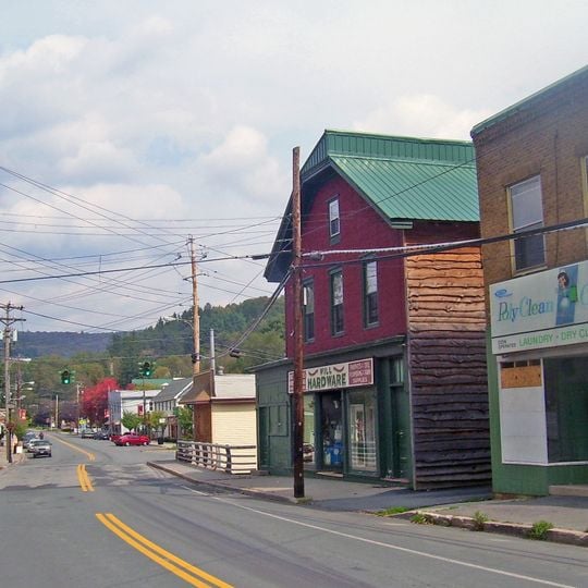 Livingston Manor