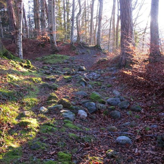 Castle ruins Aegerten