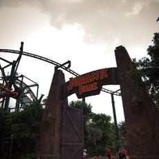 Canopy Flyer