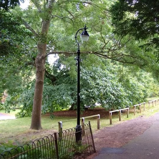 Lamp Post Approx 10 Metres North Of Entrance Of St Peters Churchyard