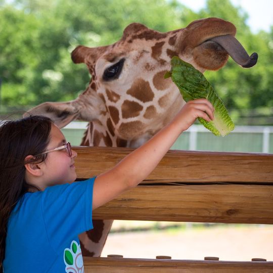 Lincoln Children's Zoo