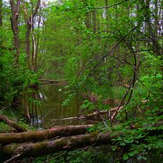 Boissower See und Südteil des Neuenkirchener Sees