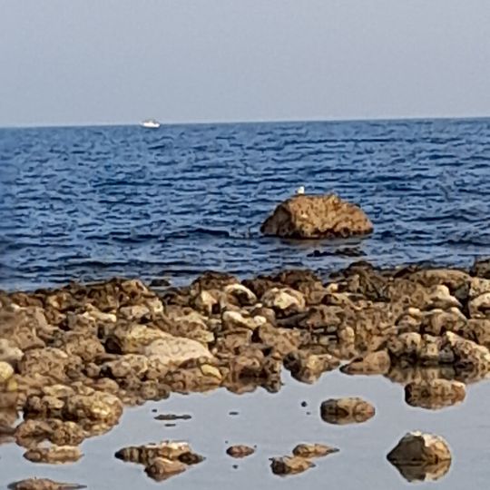 Lo Codolar de l'Almadrava