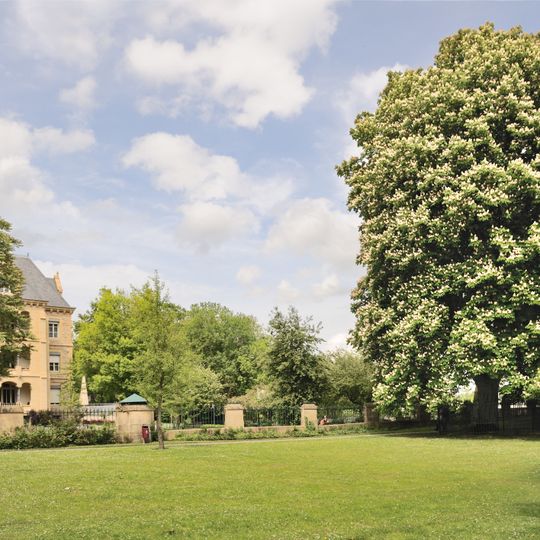 Arbre du Prince Jean