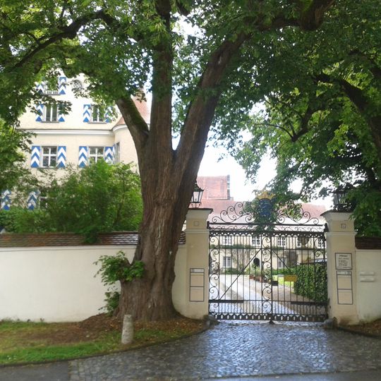 Linden am Schlosstor von Wilflingen