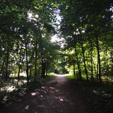 Тополёвая аллея (Кузьминки)