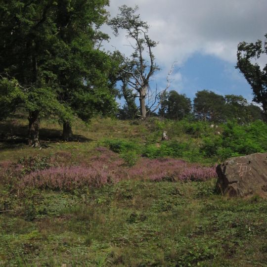 Naturschutzgebiet 'Romberg'