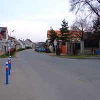 Ořech